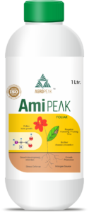 AMIPEAK